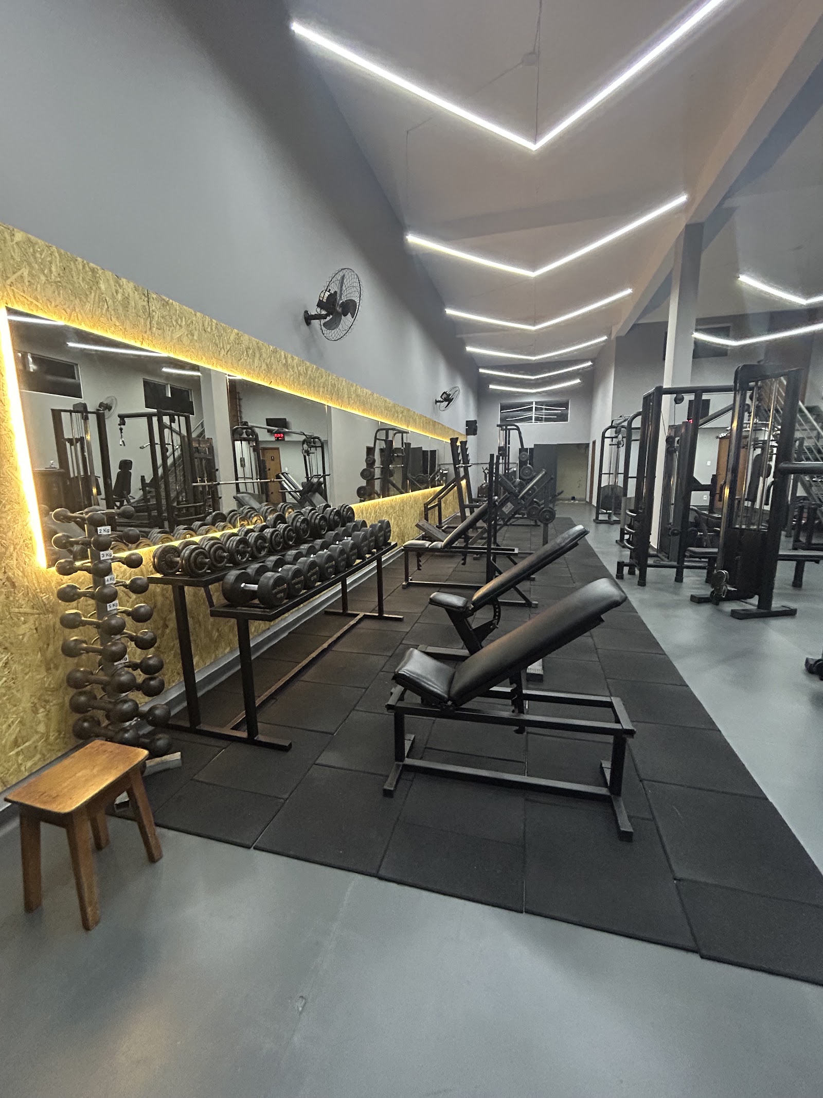 Piso de treino da Academia Portal Fit, com anilhas, banco ajustável e parede iluminada em dourado.